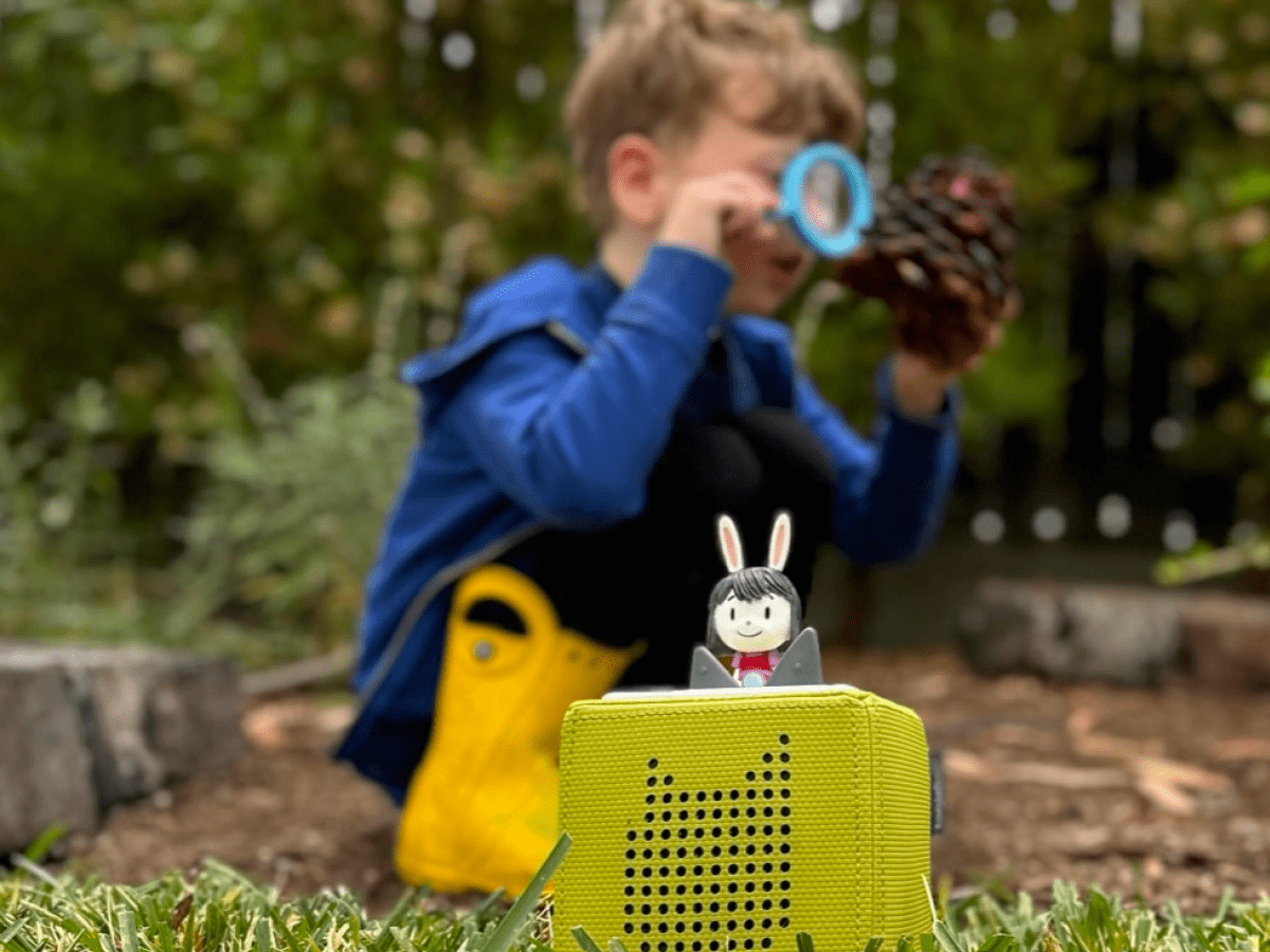 Elinor Wonders Why Tonie - Image 6