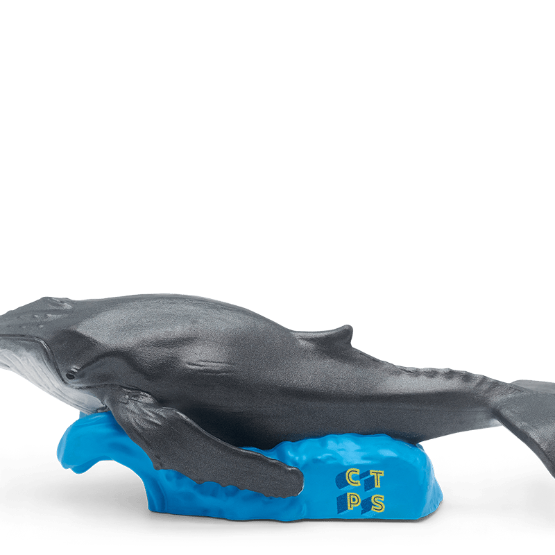 National Geographic Kids: Whale Tonie - Image 9